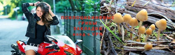 скорость Ветлуга