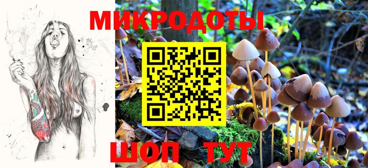 Псилоцибиновые грибы Magic Shrooms  Вход с VPN  купить  сайты  Богородск 