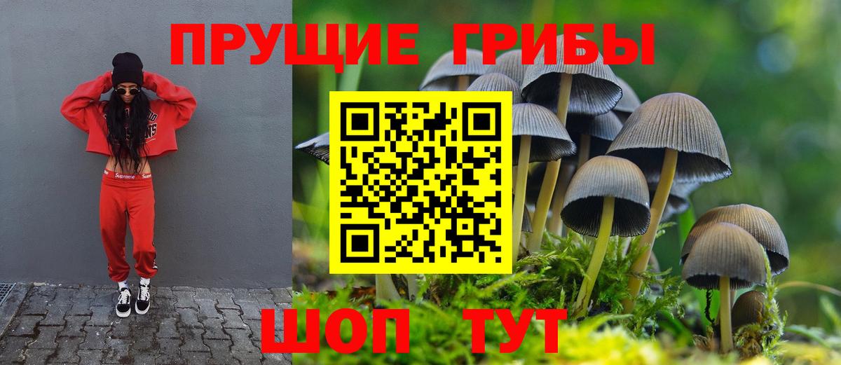купить  сайты  Богородск  Псилоцибиновые грибы ЛСД 