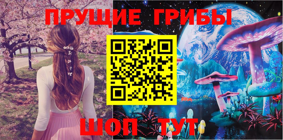 Галлюциногенные грибы GOLDEN TEACHER Богородск